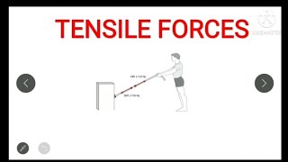 TENSILE FORCES  BIOMECHANICS  HINDI 116 [upl. by Gnim]