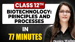 BIOTECHNOLOGY PRINCIPLES AND PROCESSES in 77 Minutes  Biology Chapter 11  Full Chapter Class 12th [upl. by Nosnevets]