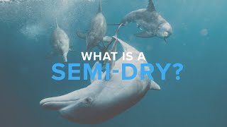 What Is A SemiDry  Deep Dive [upl. by Aikcir]