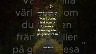 Hadith på svenska hadithpåsvenska [upl. by Hach]