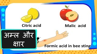 Science  What Are Acid And Base and their Basic Properties  Hindi [upl. by Afra441]