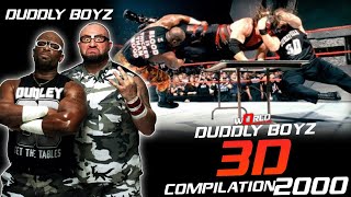 Wwe Duddly Boyz 3D Compilation 2000 [upl. by Oemac]