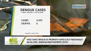 One Western Visayas Dengue Cases sa Iloilo Nagdangat na sa 2493 Anum sa mga Pasyente Patay [upl. by Nhguav]