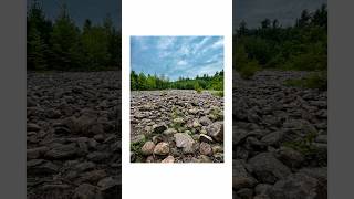 57365📸Champs des guérets Rigaud The potato field legend photography montreal shotoniphone [upl. by Assila288]