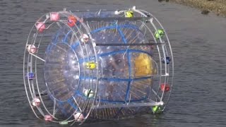 Man Tries to Reach Bermuda by Bubble [upl. by Rigdon]