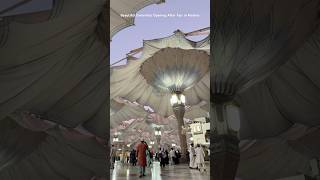 Beautiful Umbrellas Opening After Fajr in Madina madina islam islamic muhammad islamicstatus [upl. by Nelram]