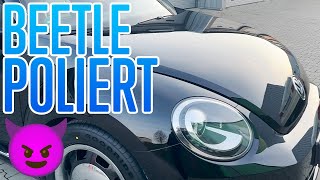 Ich poliere einen UNI SCHWARZEN VW Beetle  Massive Kratzer [upl. by Eseuqcaj125]