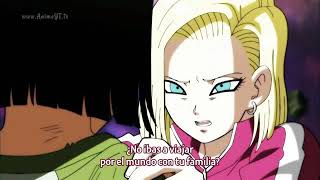 Numero 17 gana el torneo y Goku se despide de zeno sama  DRAGON BALL SUPER Sub español [upl. by Novelc]