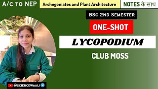 Characteristics Morphology Anatomy and Reproduction of LYCOPODIUM  Full life cycle  OneShot [upl. by Tennek]