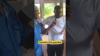 PRÉCIEUX CONSEILS DUN PORCHER À BRAZZAVILLE porcs [upl. by Bordie613]