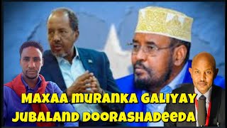 FALANQEYN MAXAA MURANKA GALIYAY JUBALAND DOORASHADEEDA YAASE KA DANBEEYA FAROGALINTA JUBALAND [upl. by Tamiko284]