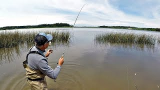 PESCA ENTRE LOS JUNCOS DE LA LAGUNA CON LINDAS SORPRESAS [upl. by Adan53]