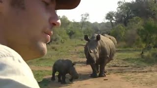 Lucky Escape from a Black Rhino  Ultimate Killers  BBC Earth [upl. by Teemus]