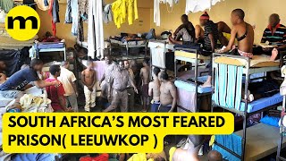 Leeuwkop Prison Horror Stories – South Africa’s Most Feared Prison [upl. by Hocker737]