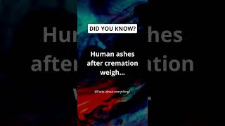 Human ashes after cremation weigh shorts facts [upl. by Yeaton570]