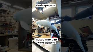 Foam Coating a Harbor Porpoise with Rosco Foam Coat shorts [upl. by Ayalahs]