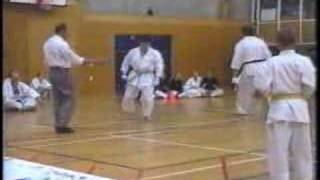 Andre Bertel Shotokan karate  Tai sabaki [upl. by Dionis]