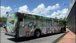 We found Disney’s Newest Bus Design 101 Dalmatians at Magic Kingdom Walt Disney World Vlog 8724 [upl. by Naivatco]