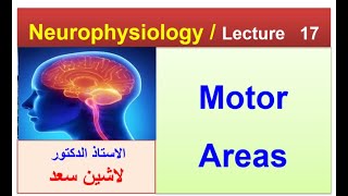 PhysiologyNeurophysiologyMotor systemmotor areasLecture 1 [upl. by Ecnirp]