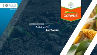 Corvus® Herbicide [upl. by Eimma]