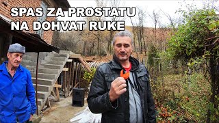 BILJKA ZA PROSTATU GRLO I ĐIĐI MIĐI [upl. by Hanschen]