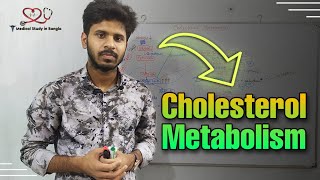 Cholesterol synthesis in bangla Cholesterol Metabolism [upl. by Ttemme]