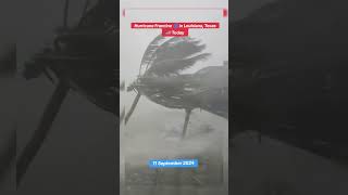 Extreme Winds from Hurricane Francine in Thibodaux Louisiana USA storm stormchasers [upl. by Illoh300]