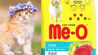 MeO Cat food 2019 hindiUrdu [upl. by Belmonte]