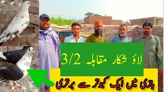 Bazzi M Ak Kabootar Sa JeetLive Shikar Kiya 😱 Kabootar bazzi Multan [upl. by Faustena]