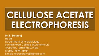 Cellulose Acetate Electrophoresis [upl. by Annabell627]