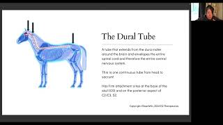 The Membrane System Key Pillars of Craniosacral Therapy [upl. by Notslar]