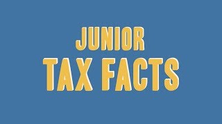 Junior Tax Facts [upl. by Adnoel]