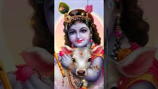 Krishna bhakti video status shorts song [upl. by Behn17]