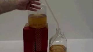 How to Rack One Gallon Of Mead Honey Wine [upl. by Ennirok]