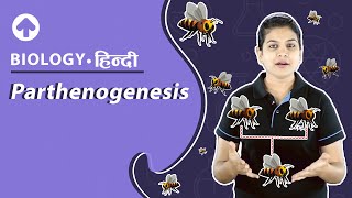 Parthenogenesis  पार्थेनोजेनेसिस  Biology [upl. by Elletnuahc]