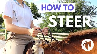 How To Steer a Horse STEPBYSTEP GUIDE [upl. by Dibrin647]