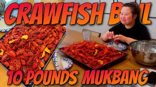 10 Pounds Seafood Boil Crawfish Mukbang 먹방 Eating Show with Michelle MUST WATCH [upl. by Shull]