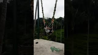 😃 Tegalalang Rice Terrace amp Bali swing [upl. by Narih]