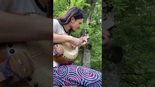 Relaxing gourd banjo  Jason Romero 6string gourd banjo [upl. by Affra795]