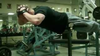 Gym Exercises Strengthen Your Lower Back  Reverse Situps Intermediate [upl. by Borer640]