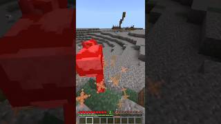 Gaboleh Ketemu Burung Di Minecraft Tapi Main Game TerSus shorts [upl. by Yeknarf27]