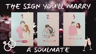 Whos The SOULMATE Youll Marry PICK A CARD Tarot Reading [upl. by Arihk]