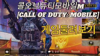 콜오브 듀티 모바일FPS 최초 플레이0203 [upl. by Eissirk146]