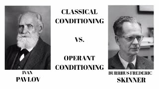 Classical Conditioning vs Operant Conditioning Psychology [upl. by Woodall]