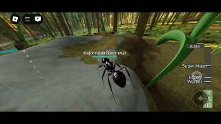 playing ant life part 1 [upl. by Greggs64]