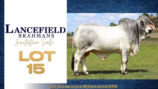 Lot 15 Lancefield M Endeavour 8114 [upl. by Lavinia771]