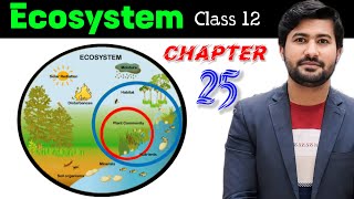 Ecosystem chapter 25 introduction and some important definitions [upl. by Elik]