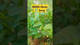 Beedi bollywood song music love youtube Comedy Funny Video Edit short film Hindi Trend Channel [upl. by Laetitia]