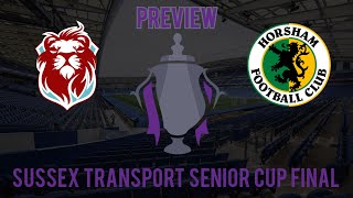 SUSSEX TRANSPORT SENIOR CUP FINAL PREVIEW [upl. by Neerahs641]