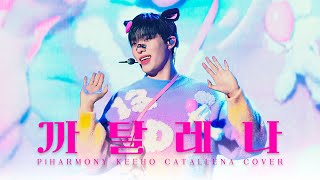 4K 241110 피원하모니 기호 까탈레나CATALLENA 직캠  P1Harmony KEEHO Fancam  OLYMP1ece FANMEETING [upl. by Cerys]